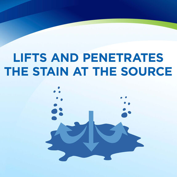 INSTAclean® Pet Stain Remover 1684 Woolite® Spot Cleaners